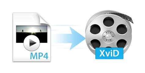 xvid es|Formato de archivo Xvid